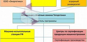 Ассоциация по производству семян зерновых культур Элитные семена Татарстана