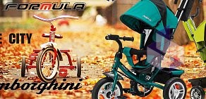 Магазин велосипедов Пульс, спортивных товаров и развивающих игрушек