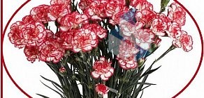 Цветочный салон Flo fresh flowers на Строительной улице, 1 к 3 в Оби