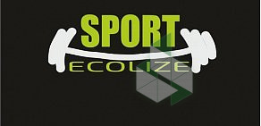 Фитнес-студия Ecolize в переулке Семашко