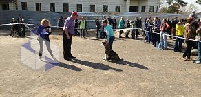 Кинологический центр Пятый хвост в ТЦ Щербаковский