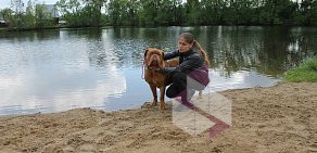 Кинологический центр Пятый хвост в ТЦ Щербаковский