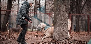 Кинологический центр Пятый хвост в ТЦ Щербаковский