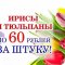 Сеть цветочных салонов Flo fresh flowers на улице Богдана Хмельницкого, 72 к 1 киоск