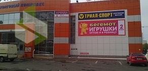 Бегемот