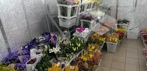 Магазин Первый цветочный на Большой Покровской улице