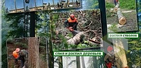 Служба спила деревьев, озеленения и благоустройства Агент Ландшафт