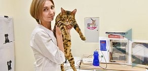 Ветеринарная клиника Чудо с хвостиком в Кировском административном округе 