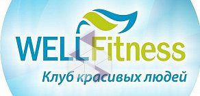 Фитнес-центр WellFitness центр в Центральном районе