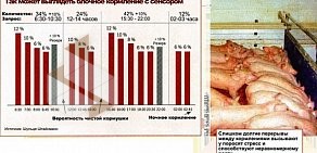 Компания по продаже кормовых добавок Медеус