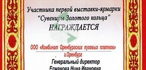 Комбинат Оренбургских пуховых платков на улице Расковой