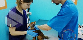 Ветеринарная клиника Аист-вет в Бутово
