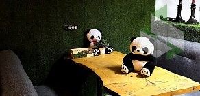 PANDA Lair