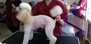 Салон-парикмахерская для животных Белый Бим на улице Фрунзе