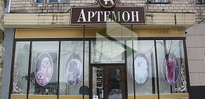 Салон-парикмахерская для собак и кошек Артемон на улице Маршала Мерецкова