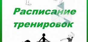 Центр спортивного развития «Ростов-на-льду»