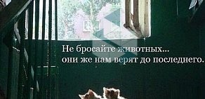 Выездная ветеринарная служба Невод