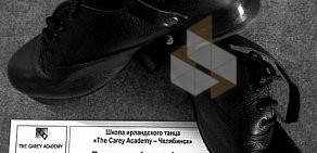 Школа спортивного ирландского танца The Carey Academy Russia