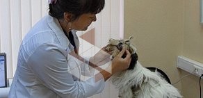 Ветеринарная клиника Атлантвет на улице Чкалова в Жуковском