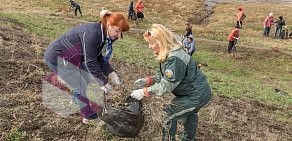 Нотариальная палата Омской области