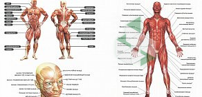 Учебный центр Академия Профессий на улице Рогожникова, 9 