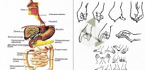 Учебный центр Академия Профессий на улице Рогожникова, 9 