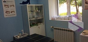 Ветеринарная клиника 9 жизней на Большой Московской улице, 74