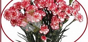 Цветочный салон Flo fresh flowers на улице Богдана Хмельницкого, 40 к 1