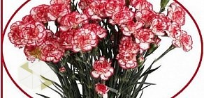 Цветочный салон Flo fresh flowers на улице Богдана Хмельницкого, 72 к 1 киоск