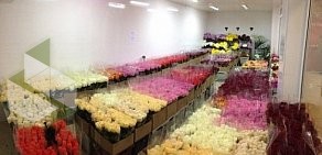 Магазин Городская база цветов в Щёлково