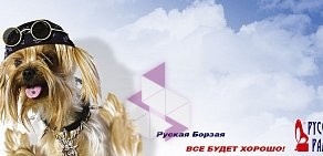 Русское радио, FM 96.3