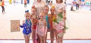 Клуб художественной гимнастики Альтаир на метро Проспект Просвещения