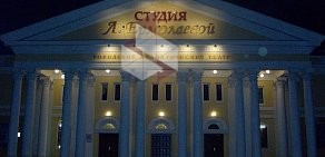 Студия Л. Ермолаевой городской драматический театр