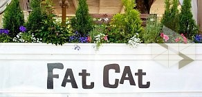 Кафе Fat Cat на улице Кржижановского
