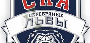 Хоккейная школа СКА-Серебряные Львы на Суздальском проспекте