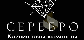 Компания Серебро на Юбилейной улице