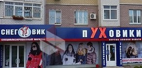 Магазин пуховиков Снеговик на улице Родионова