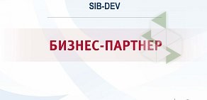 Аутсорсинговая компания Sib-Dev