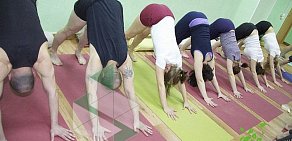 Йога-центр Terra Yoga