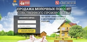 Агентство интернет-маркетинга Direсt-Romanoff.ru