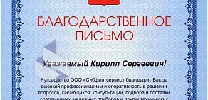 Торгово-сервисная фирма Радиотелекоммуникации