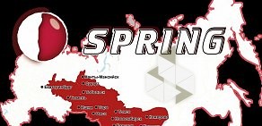 Оптовая компания SPRING