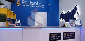 Сервисный центр Pedant.ru на улице Ленина 