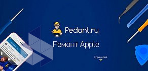 Сервисный центр Pedant.ru на улице Ленина 