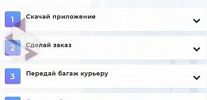 Skyshifts Приложение для отправки багажа