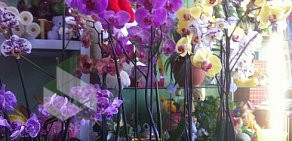 Магазин цветов Орхидея на улице Новозаводская