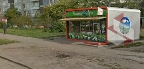 Продовольственный магазин Чистые Луга в микрорайоне Солнечный