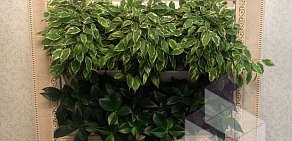 Студия вертикального озеленения Green Wall