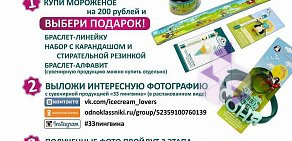 Магазин 33 пингвина на улице Герцена, 6/4 киоск