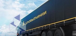 Транспортно-экспедиторская компания Деловые Линии в Борисоглебске